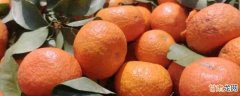 砂糖橘怎么保存才能长久 砂糖橘的保存方法有哪些